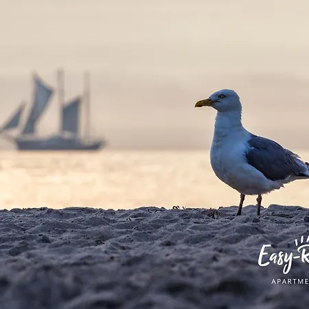 Dwupoziomowy 17 Rewal