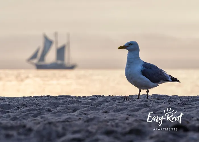 Dwupoziomowy 17 Rewal